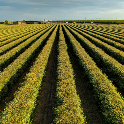 Food & Agricultural Cooperation